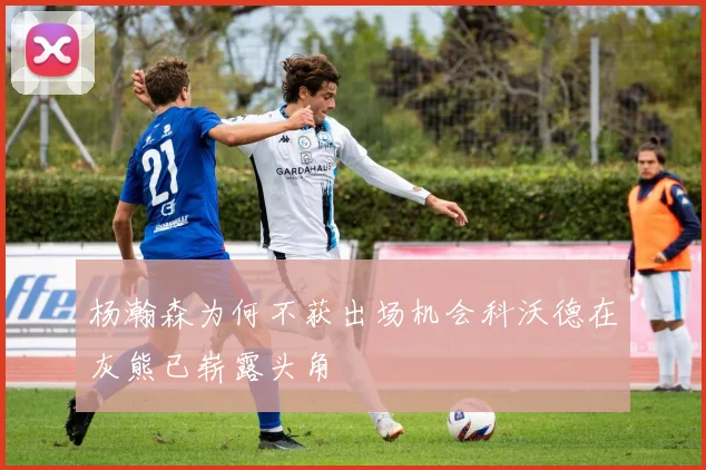 杨瀚森为何不获出场机会科沃德在灰熊已崭露头角