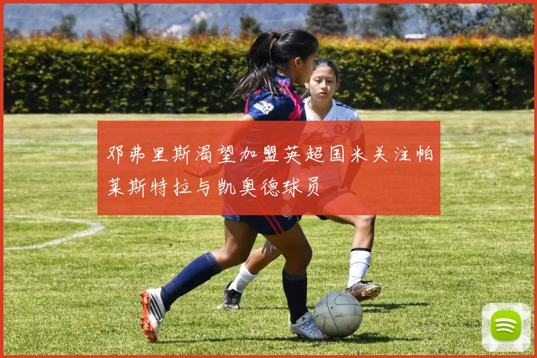 邓弗里斯渴望加盟英超国米关注帕莱斯特拉与凯奥德球员