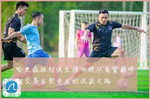 哈里森独行侠生涯回顾从高管巅峰到交易东契奇后的沉寂之路