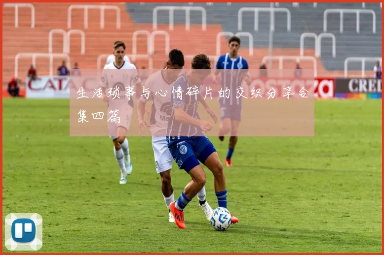 生活琐事与心情碎片的交织分享合集四篇