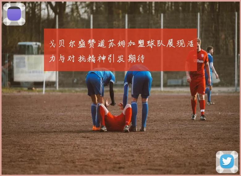 戈贝尔盛赞道苏姆加盟球队展现活力与对抗精神引发期待