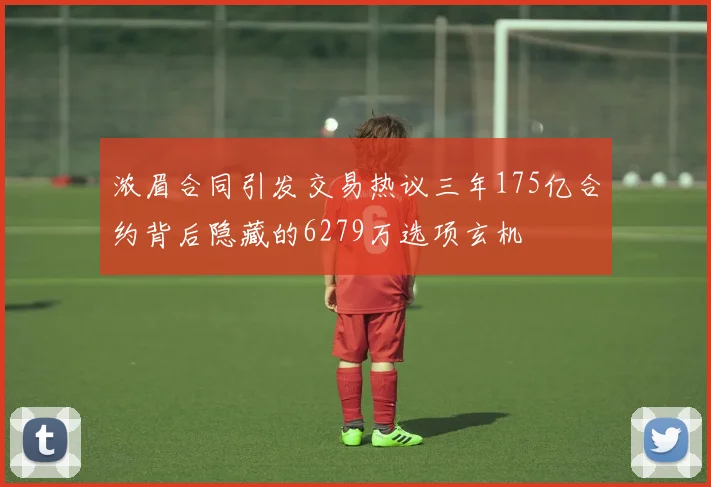 浓眉合同引发交易热议三年175亿合约背后隐藏的6279万选项玄机