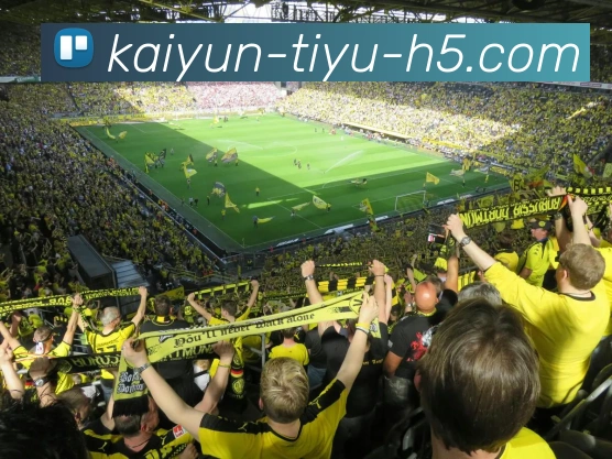 开云体育发展历程